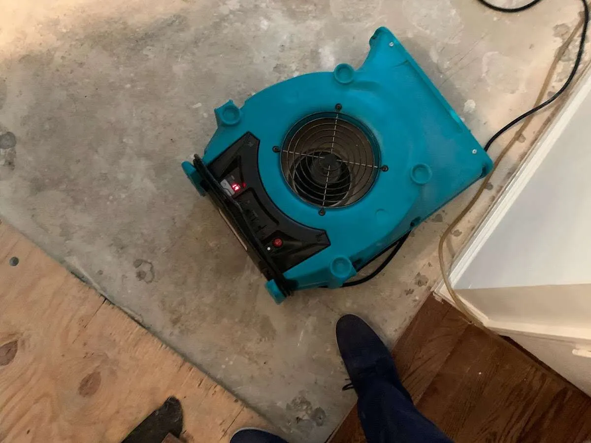 Air mover drying subfloor during Commercial Water Damage Restoration in Mountain View